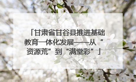 甘肃省甘谷县推进基础教育一体化发展——从“资源荒”到“满堂彩”